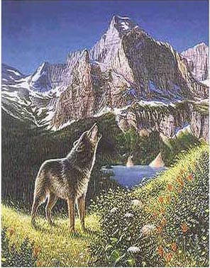 illusion 2 - this is also amazing!