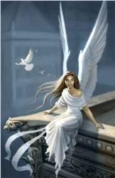 angel - angel in white