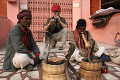 Snake Charmers - Snake Charmers