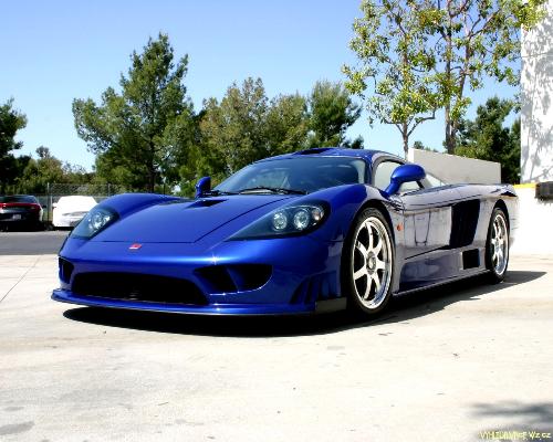saleen - the car projected to 'run' very fast