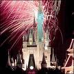 Disney - disney