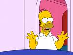Homer Simpson Doh! - homer