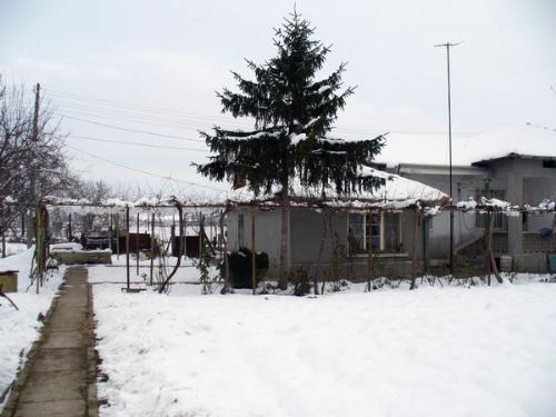 Village - The place where my grandfather and grandmother live.