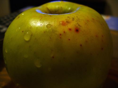 Apple - Just an ordinary apply with extraordinary water drops.