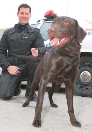 Policeman with Police Dog - Policeman with Police Dog