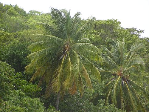 beach - st. john
