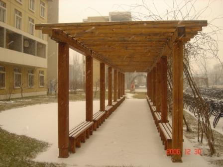 snow - There snowed this moring,and I'd like to show you the pictures I took outside my dormitory.