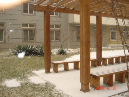 snow - another picture of the snow