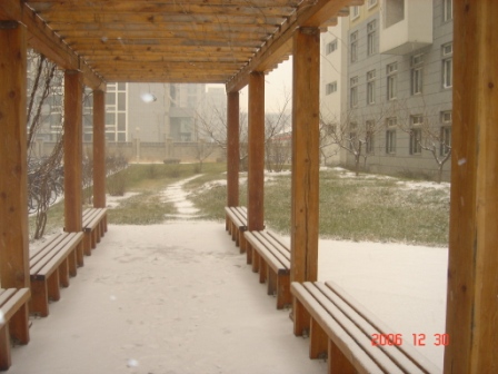 snow - the last picture i took.
