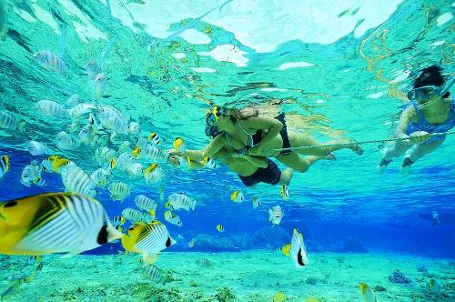 Snorkeling - Snorkeling