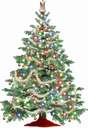 christmas tree - tree