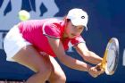 sania - Still of tennis player sania mirza