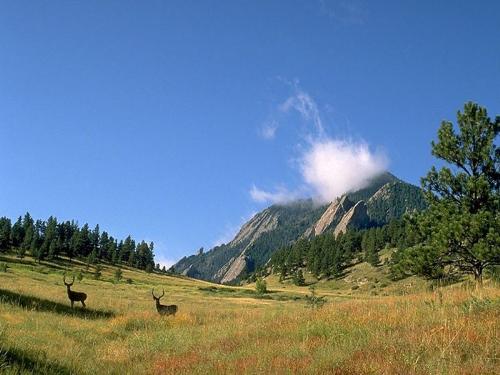 mountains - colorado