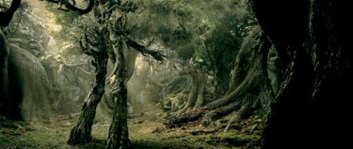 the lord of the rings - the lord of the rings