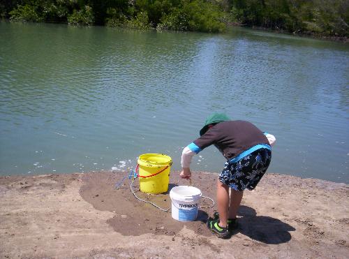 catching bait - Liam had fun catching small prawn for bait