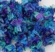 blue and purle - blue and purple