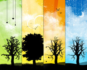 nature - beauty of the nature