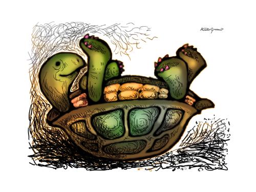 turtle - amazing animal