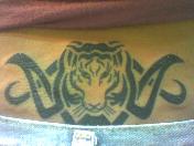 tattoos - It's the tattoo I made a year ago, a tribal tiger.