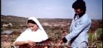 Sholay - Sholay has inspired many imitations, in cinema and television, and has spawned a whole sub-genre of films whimsically dubbed Curry Westerns as a tribute to Spaghetti Westerns. None of them has had the success of the original film.