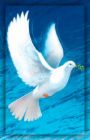 Doves - The Ringneck Dove is easily the most commonly kept dove in captivity. This domesticated bird (Streptopelia risoria) descends from the African Ring Dove (Streptopelia roseogrisea).
