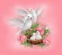 Doves - And that the 'Treronidae' and allied forms (crowned and pheasant pigeons, for example) represent the earliest radiation of the group.