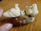 Doves - Doves also lay eggs like other birds. In the above picture, doves r sitted on their eggs and taking care of them and providing them heat.