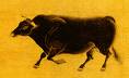 Name the first animal that pops into your head.. - Mine is always an Ox, i have no idea why!!