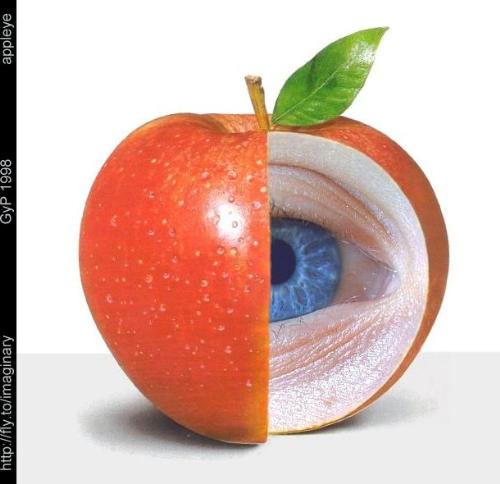 eye in apple - is that possible for any thing i think it is a computer grafics with immagination.
