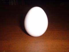 The incredible, edible egg! - Eggs are yummy and a cheap source of good protein!