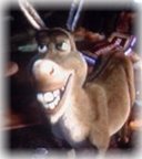 Donkey!!! - Donkey , from Shrek, The movie