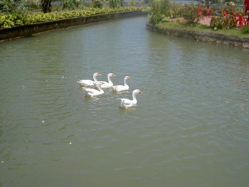 Tour photos - tour photos, when i went to a resort in kerala