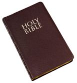 Holy Bible - Holy Bible