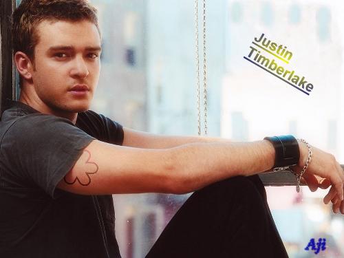 Justin Timberlake - Justin Timberlake was an ex-mmber of NSYNC,the boy band from U.S. and he splitted from te band and released an album named'Justified' in 2003.. and topped the charts with the singles'Cry Me A River','Like I Love You','Rock Your Body','Senyoreta', etc.. and he merged with Black Eyed Peas which is Billboard topper for weeks and the name of the single is'Where's The Love?'. And now he's back with his new album named'Future Sex Love Sounds (2006)'.. released two singles named'Sexy Back' and'My Love' are chart toppers