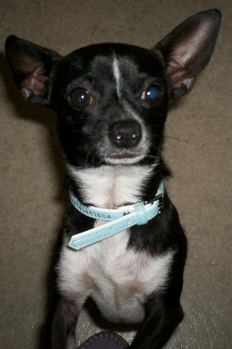 pepi - Just being his handsome self