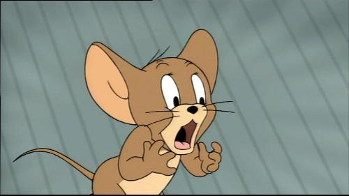 tom and jerry - tom and jerry