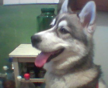 Ike - I have one year's old