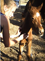 me and my foal - a photo of me and one of my stud mares foals, he's name is draco.