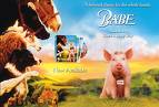 Babe - Babe