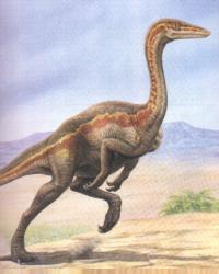 Dinasour - Dinasour