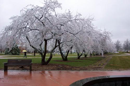 Absolutely gorgeous-1 - This is truely amazing and beautiful!! The scenery is breathtakingly beautiful!