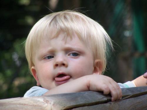 babyboy - babyboy