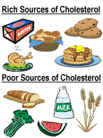 cholesterol - cholesterol
