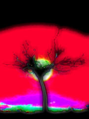 Night Dreams - CourtesY: http//pothaman.blogspot.com