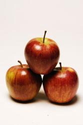 apples - favorite fruit