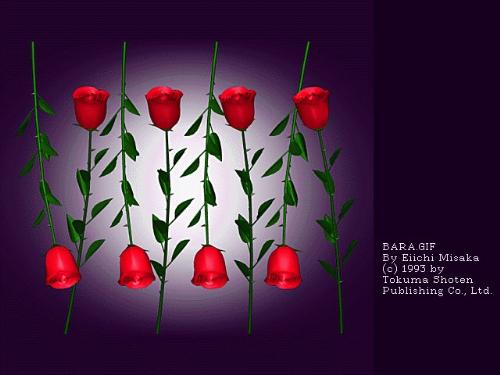 digital roses - do u love them?