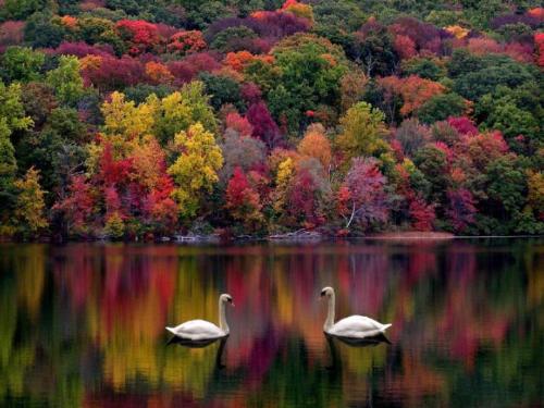 beautiful colors on the lake - this has such pretty colors