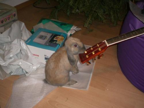 Dusia - Dusia, The Guitar Player (Chewer? ;-))
