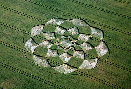 Do you think crop circles are real? - I think its man made.