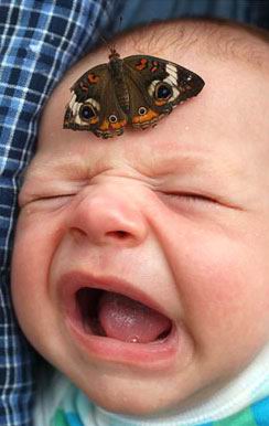 dont cry .... - dont cry baby.......